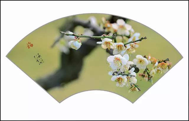 微信图片_20180314150149.jpg 微信图片_20180314150149.jpg