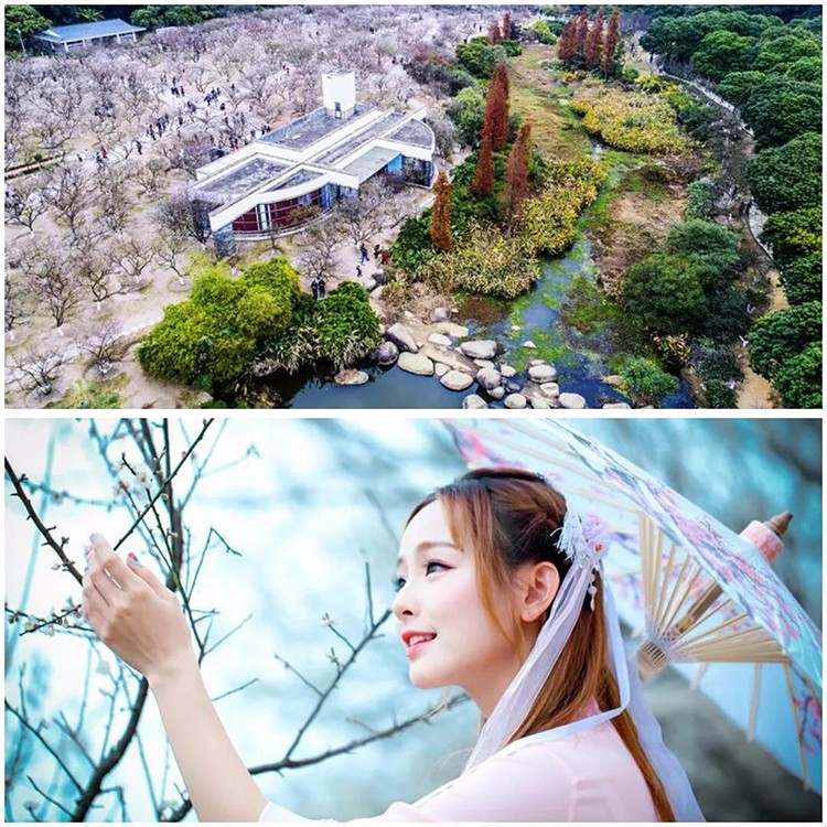 微信图片_20180328220137.jpg 微信图片_20180328220137.jpg